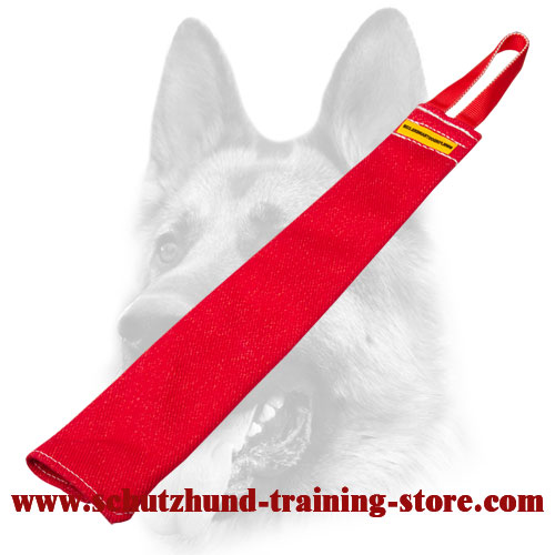 Dog 2024 training store