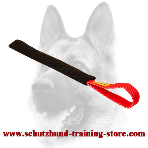 tug dog training