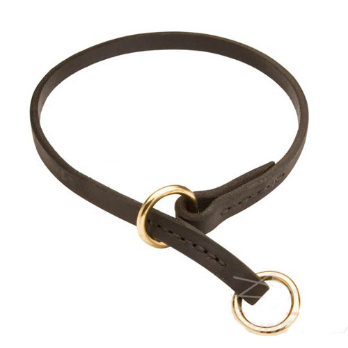 Behavior correction hotsell collar for dogs