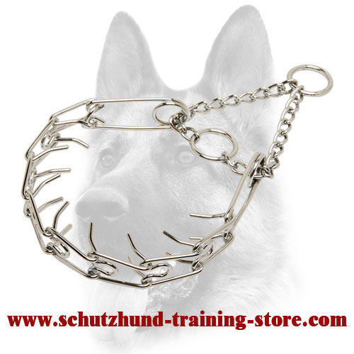 Good Looking Chrome Plated Dog Pinch 【Collar】 - 1/10 inch (2.3 mm