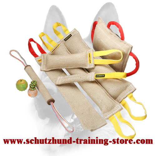 Buy Jute Dog Training Set, Bite Roll, Toys, Rag