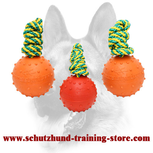 https://www.schutzhund-training-store.com/images/large/Dog-Training-Toy-Full-Rubber-TT14_LRG.jpg