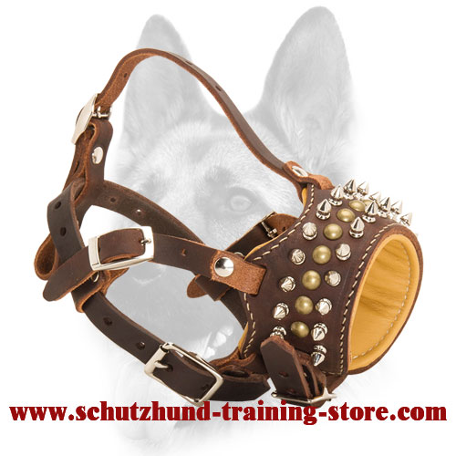 Dog muzzle outlet store