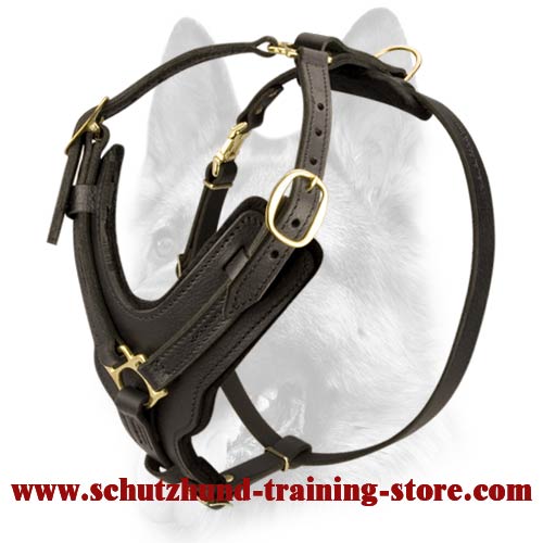 are leather harness good for dogs