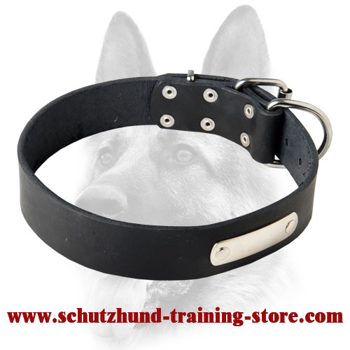 Regular Fit handmade leather dog collars Australia