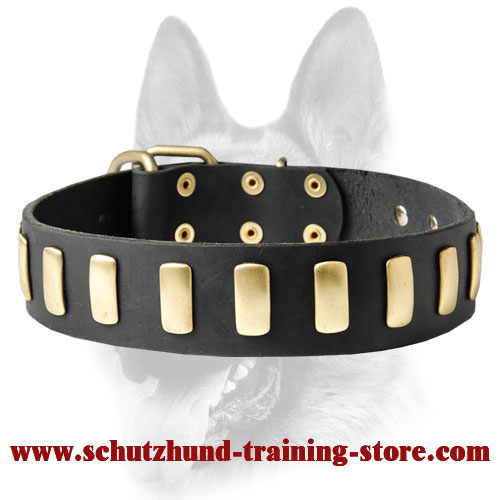 Smooth Spike Leather Dog Collar - Gold Noir