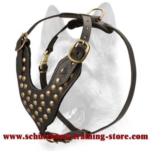 Schutzhund harness 2024